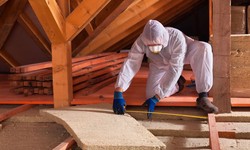 Boost Your Comfort with Our Premium Insulation Removal Services