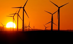 A Data-Driven Approach Unveiled Through Feasibility Report: