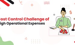 Cost Control Challenge of High Operational Expenses