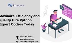 Maximize Efficiency and Quality Hire Python Expert Coders Today