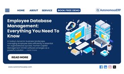 Employee Database Management: Everything You Need To Know