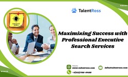 Maximizing Success with Professional Executive Search Services