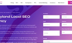 Dominating the Local SEO Game in Maryland