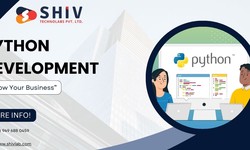 Essential Python Development Tools and Frameworks Popular in the USA