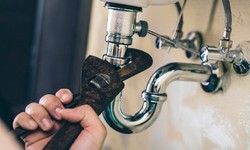 Why Should You Consider Professional Plumbing Services for Your Home?