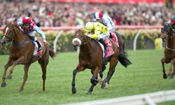 Investing in Speed: Your Guide to Buying a Racehorse