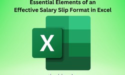 Essential Elements of an Effective Salary Slip Format in Excel