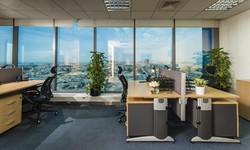 How Can Office Renovation Transform Your Workspace Experience?