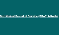 Distributed Denial of Service (DDoS) Attacks