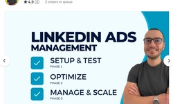 I will manage your linkedin ads