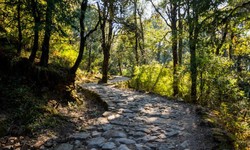 Nainital Tourism: Top 5 Destinations to Visit