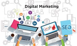 Best Digital Marketing Agency in Haryana