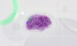 How Artificial Intelligence Will Change the Future of Marketing