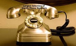 available phone numbers search