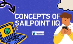 Sailpoint Identity IQ Training | Sailpoint Online Training