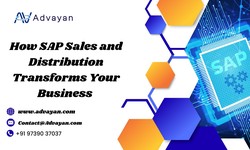 How SAP Sales and Distribution Transforms Your Business