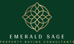 The Impact of Property Buyers Agents on Ireland’s Real Estate