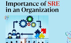 Importance of SRE in an Organization