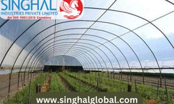 The Role of Light Transmission in Greenhouse Films