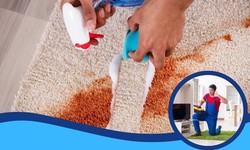 Transform Your Living Space with Deep Carpet Cleaning in Canberra
