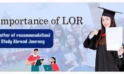 Importance of LOR (Letter of recommendation) in Study Abroad