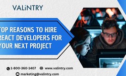 Top Reasons to Hire React Developers for Your Next Project