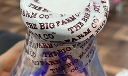 Why Plastic Bottles Leak: 5 Simple Reasons