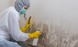 The Science Behind Damage Restoration: Techniques and Technologies