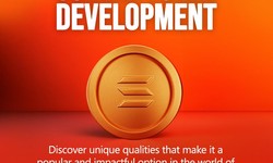 How to Leverage Solana for Meme Coin Development?