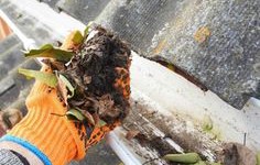 Suffolk Gutter Cleaning Experts Ensure Spotless Gutters