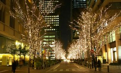 Guide to Permanent Christmas Lighting Installation for Canadian Businesses