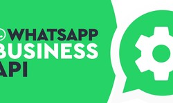 Leveraging WhatsApp Enterprise Solutions for Large-Scale Marketing Campaigns