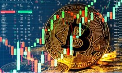 HitCryptoNews: Your Hourly Update for All Things Crypto