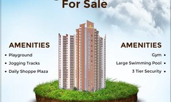 Residential Plots in Kisan Path