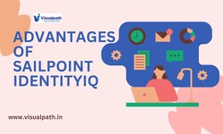 Sailpoint Identity IQ Training | Sailpoint Online Training