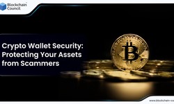 Crypto Wallet Security: Protecting Your Assets from Scammers