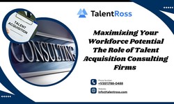 Maximizing Your Workforce Potential The Role of Talent Acquisition Consulting Firms