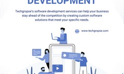 How to Choose the Right Software Development Company in singapore