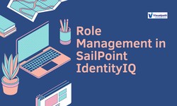 Sailpoint Identity IQ Course | Sailpoint Online Training