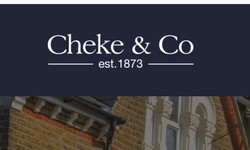 How Do Property Surveyors Help in Property Transactions?