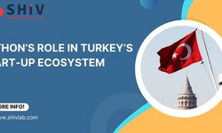 Python's Role in Turkey's Start-Up Ecosystem: A Developer's Perspective