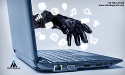 Guardians of Trust: How Social Media Fraud Analysts Use Tools and Techniques