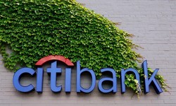 The Citibank Logo Design Evolution