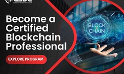 Become a Certified Blockchain Professional
