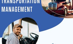 Five questions to ask a truck management software company