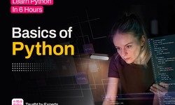 Embarking on Your Coding Journey: The Python Beginner Course