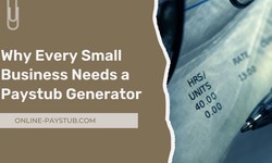 Why Does Every Small Business Need a Paystub Generator?
