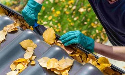 What Are the Signs That Your Gutters Need Cleaning?