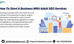 5 Trends Shaping adult SEO Marketing Services in 2024