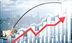 Inverted Yield Curve: Market Signals and Strategic Positioning